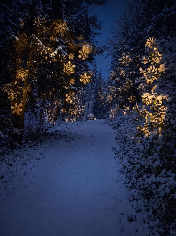 Percorso pedonale innevato con proiezioni luminose sugli alberi